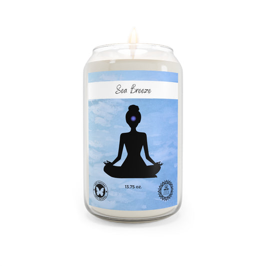 Sea Breeze Scented Soy Meditation Candle, 13.75oz